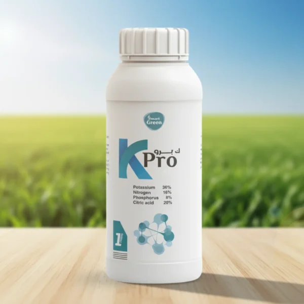 generated-4k-1765150777360 K Pro