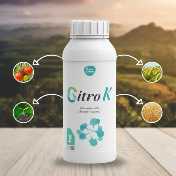 generated-4k-1765150971787 Citro K