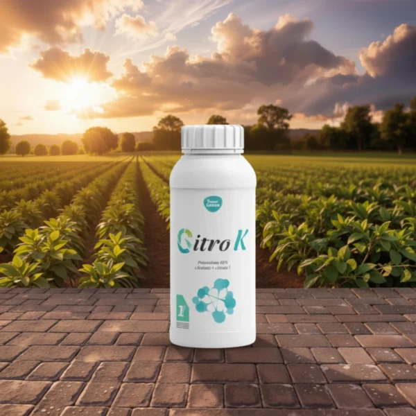 generated-4k-1765727734604 Citro K